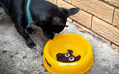 创意品牌VI设计