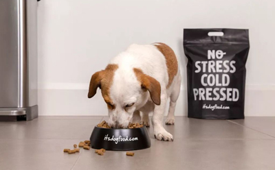 宠物粮食品包装设计