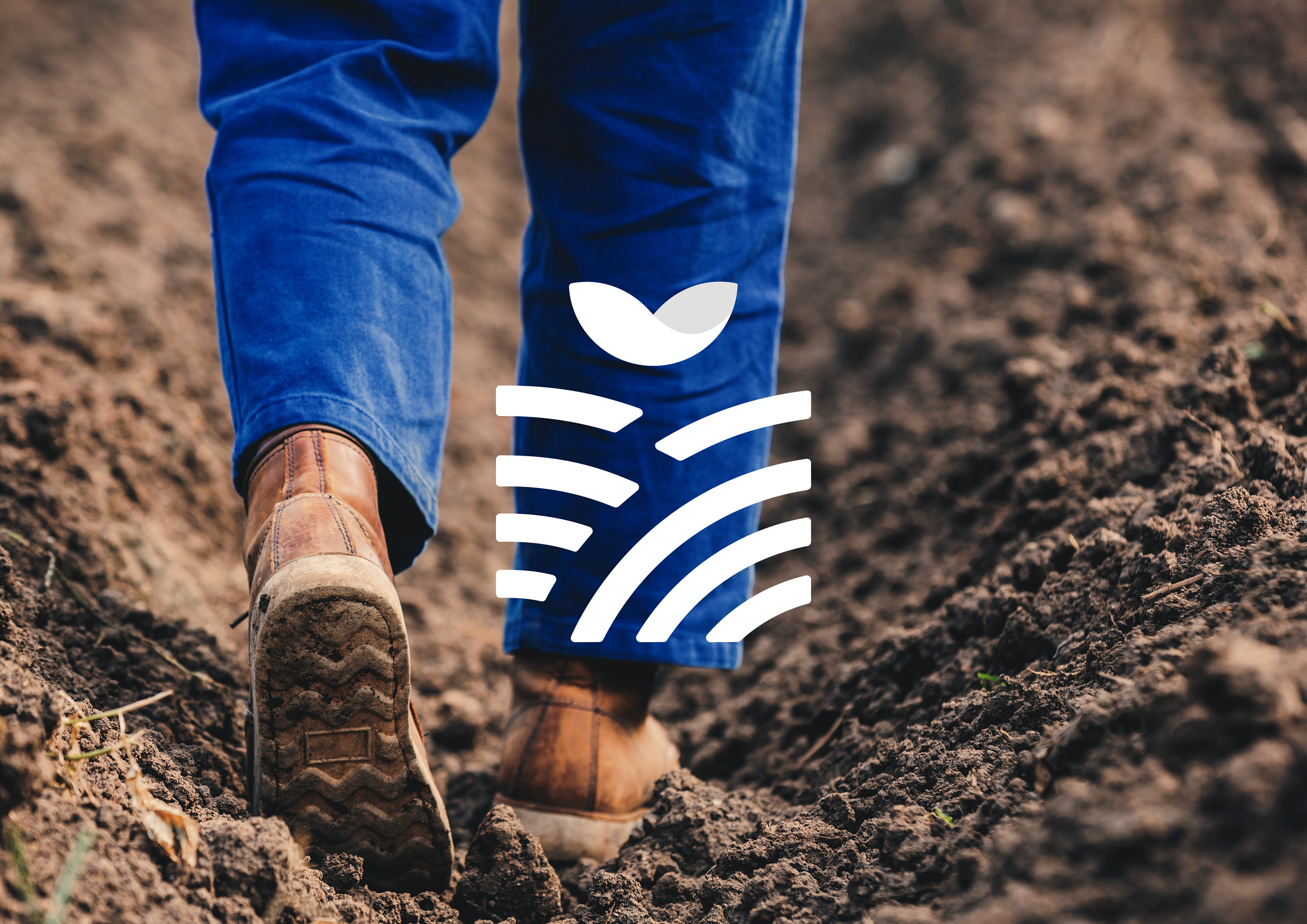 品牌创意VI设计创意