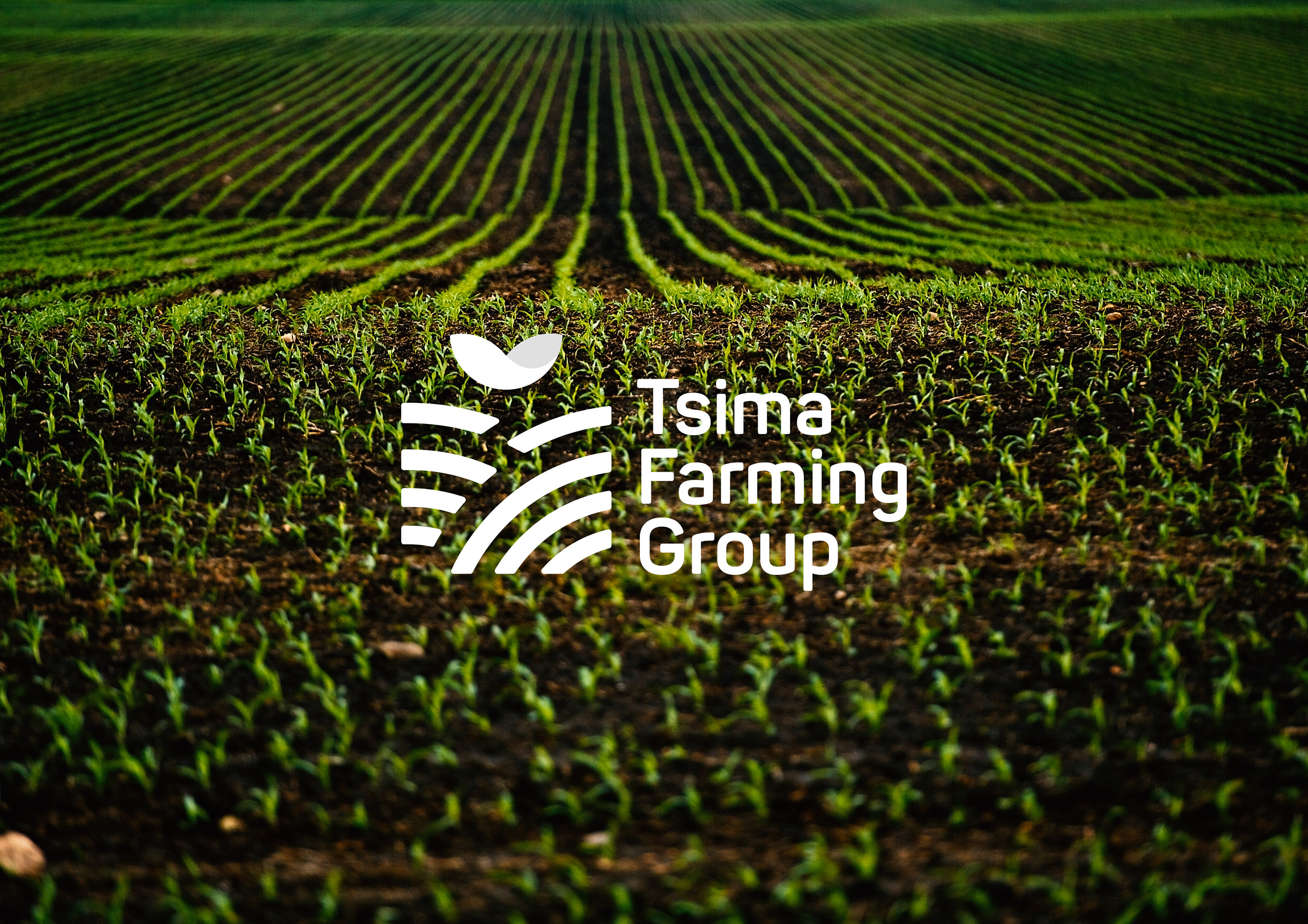 品牌创意VI设计创意