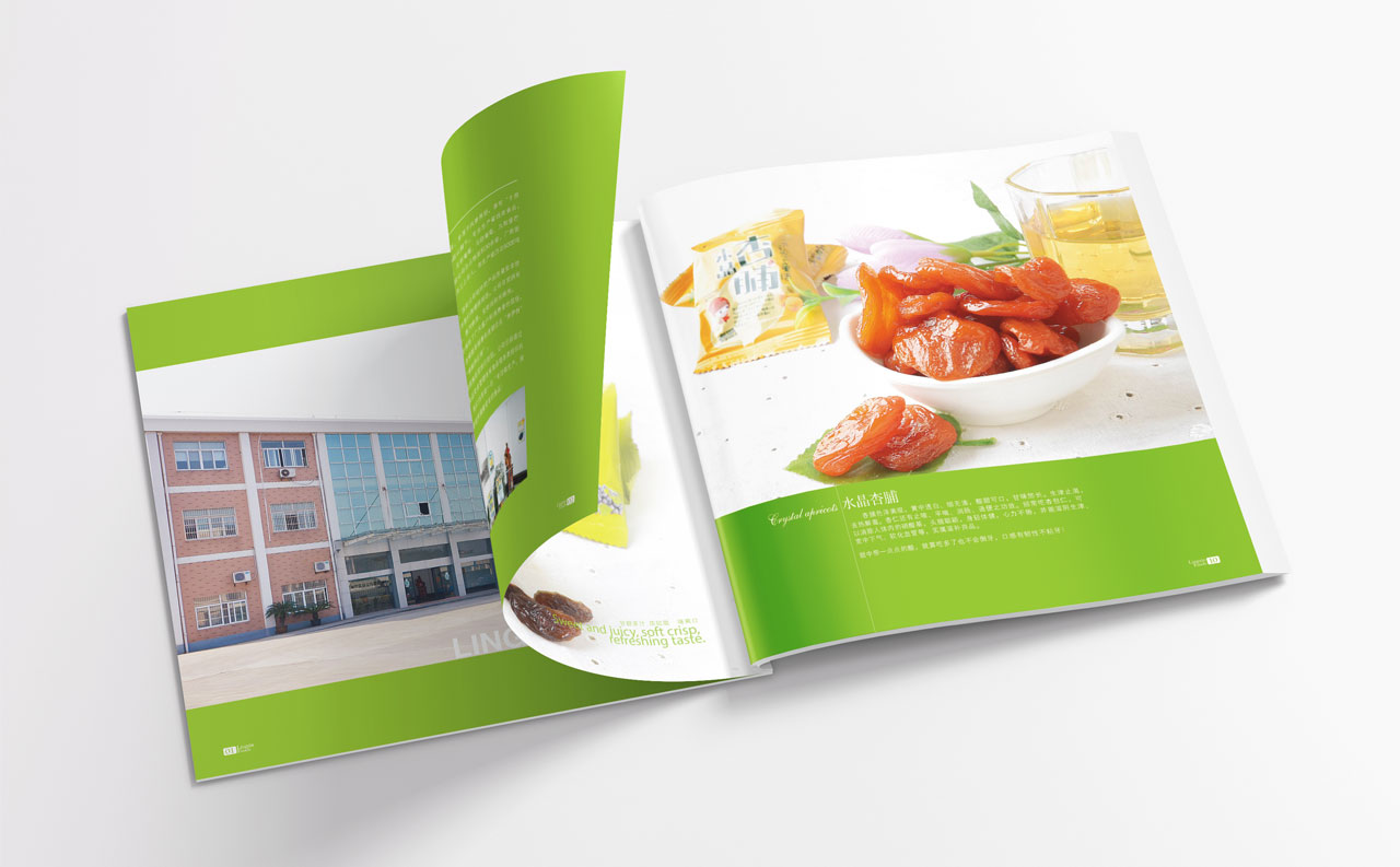 休闲食品包装设计、食品画册设计、话梅包装设计