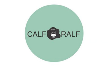 LOGO设计本质上是由点、线、面、颜色四种基本因