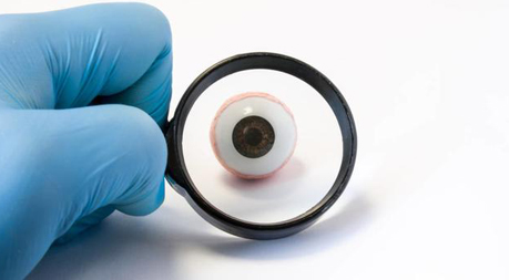 我们可以从:领域的总体现况与未来发展趋势剖析