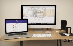 如何做高端品牌网站优化？