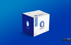 简单设计是公司整体包装设计的概念