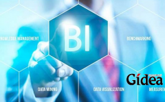 BI行为识别的具体内容