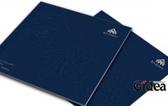 企业宣传册设计会出现什么问题,宣传册设计问题