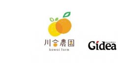 品牌logo设计应遵循什么