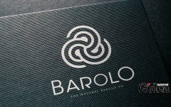 logo标志设计中的色彩应用