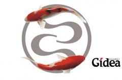 品牌设计公司在上海的经验与做法