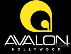 在品牌策略和品牌定位之间存在怎样的关系?