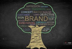 以品牌为核心做品牌策划框架