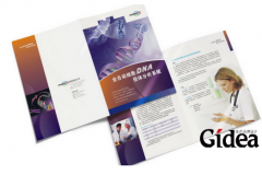 企业品牌全案凸显企业竞争的优势