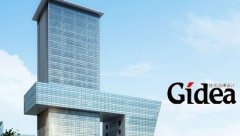 2020年，品牌延伸驱动业务增长