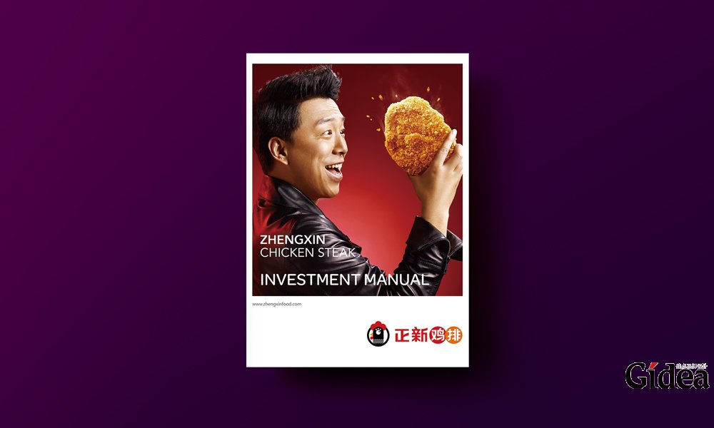 招商手册设计公司