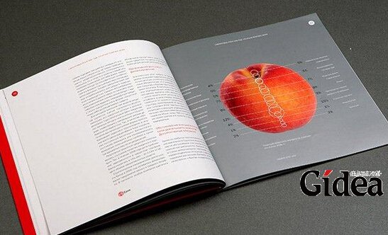 上海宣传画册设计之上下分割型