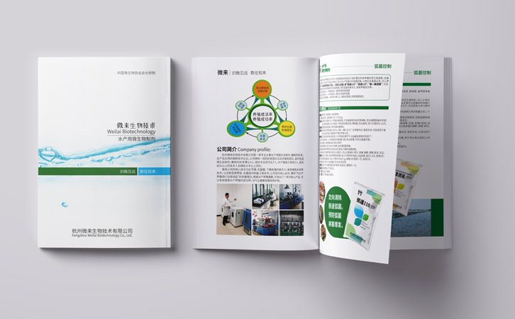 企业宣传单页设计