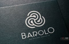 有哪些小众的极简风LOGO设计？