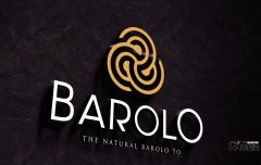 标志设计著名设计师眼中的设计是什么