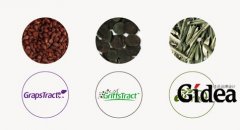 企业vi设计技术解析