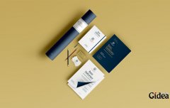 企业vi设计全套欣赏的效果