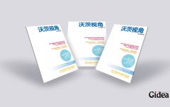 整体创意画册设计是极富表现力