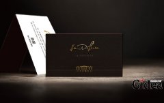 浅谈标志在创意品牌VI设计的重要性