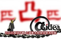 匹凸匹麻烦不断 "主演"重大担保信披违规