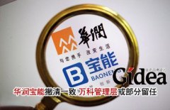 华润宝能撇清"一致" 万科管理层或部分留