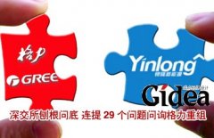 深交所“刨根问底” 连提29个问题问询格力重组