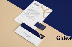 vi策划公司的业务能够达到什么目的