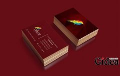 餐饮类vi套套设计基础概况