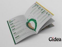 品牌建设方案究竟有没有用？