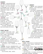 节日餐桌，需要几套酒杯？