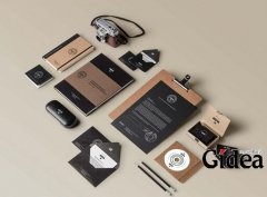 哪些因素对vi设计价格有影响