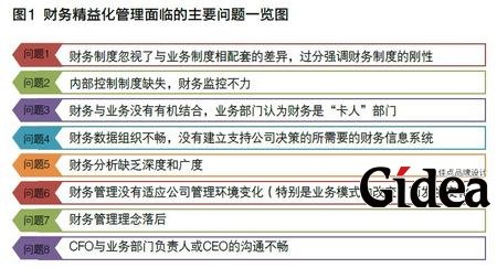 财务精益化管理面临的主要问题