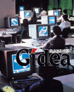 小公司怎样实施大系统(第1页)