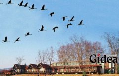 天国近了，我们应该游戏