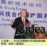 CFO：行动的战略家(第1页)