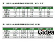 华润三九财务样本