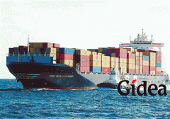 外贸突围——来自企业的样本