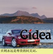 豪华车：开出你的个性