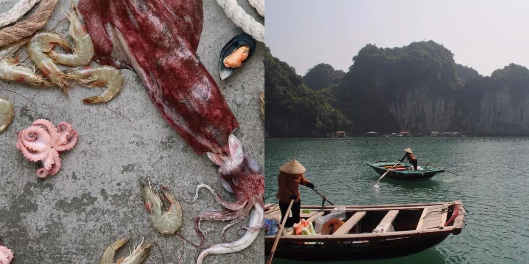 肉食制品品类设计也需要有模有样