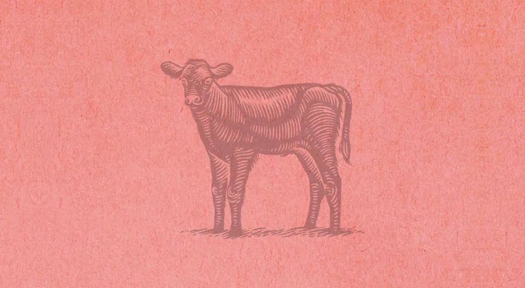 肉食制品品类设计也需要有模有样